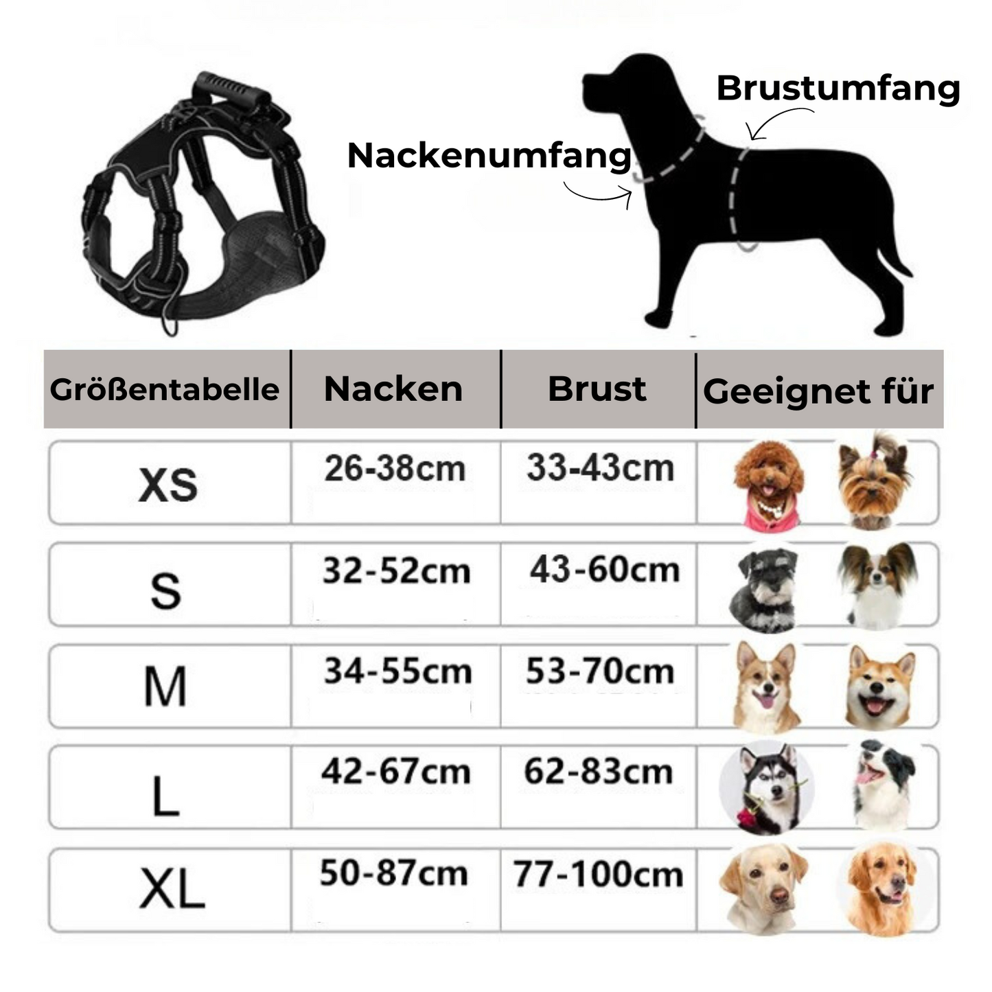 Robustes Hundegeschirr mit Haltegriff - perfekte Kontrolle für unterwegs