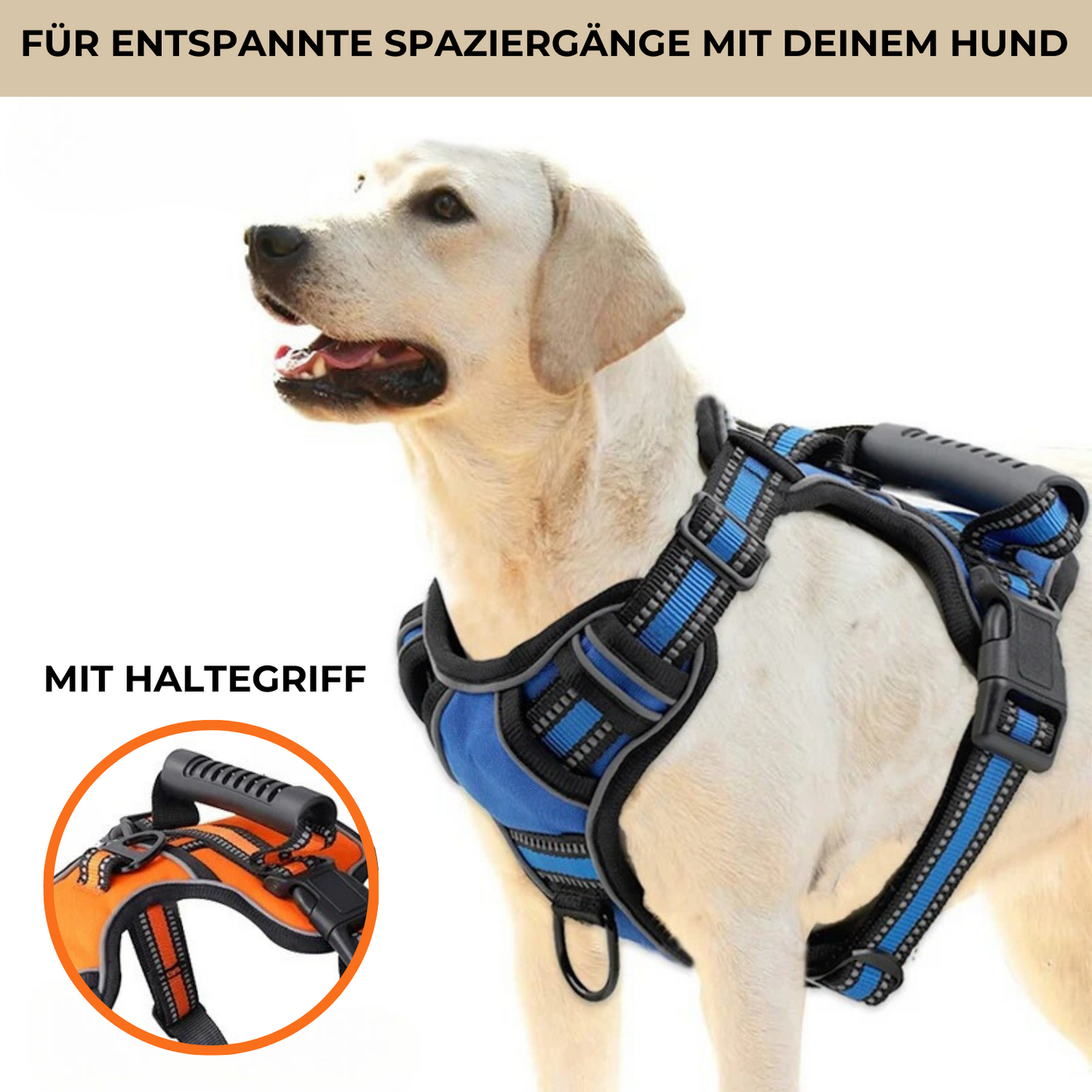 Robustes Hundegeschirr mit Haltegriff - perfekte Kontrolle für unterwegs