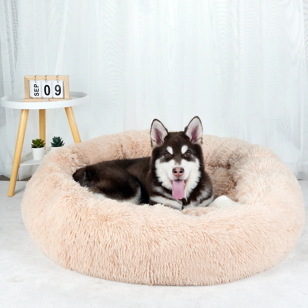 Waschbares Plüsch Hundebett für groß und klein bishin zum Welpenbett/Matte