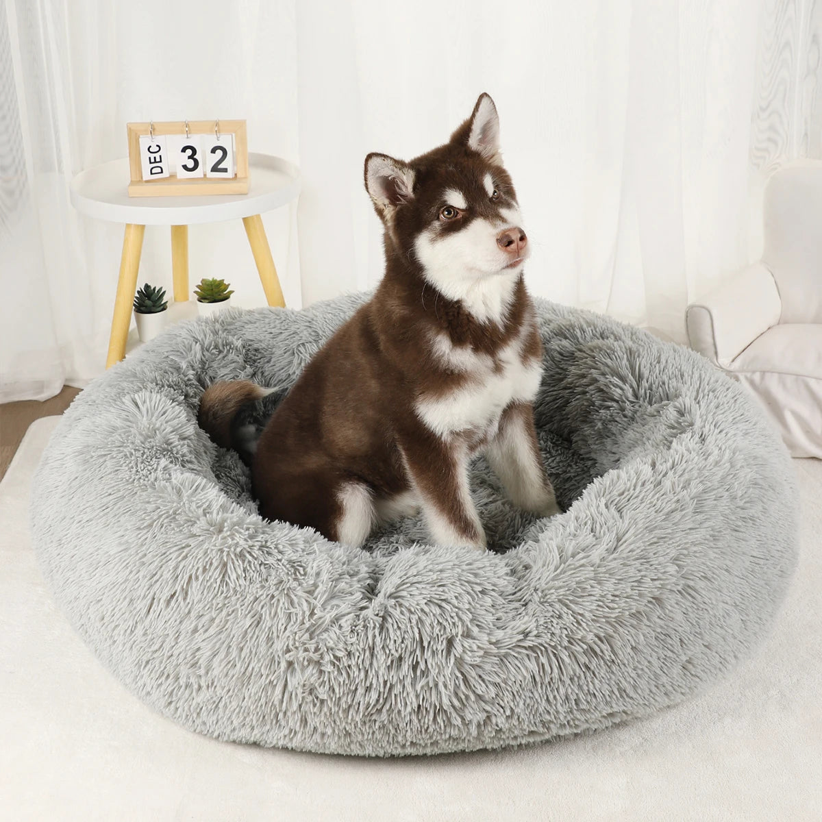 Waschbares Plüsch Hundebett für groß und klein bishin zum Welpenbett/Matte