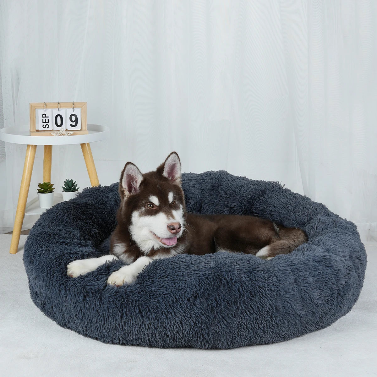 Waschbares Plüsch Hundebett für groß und klein bishin zum Welpenbett/Matte