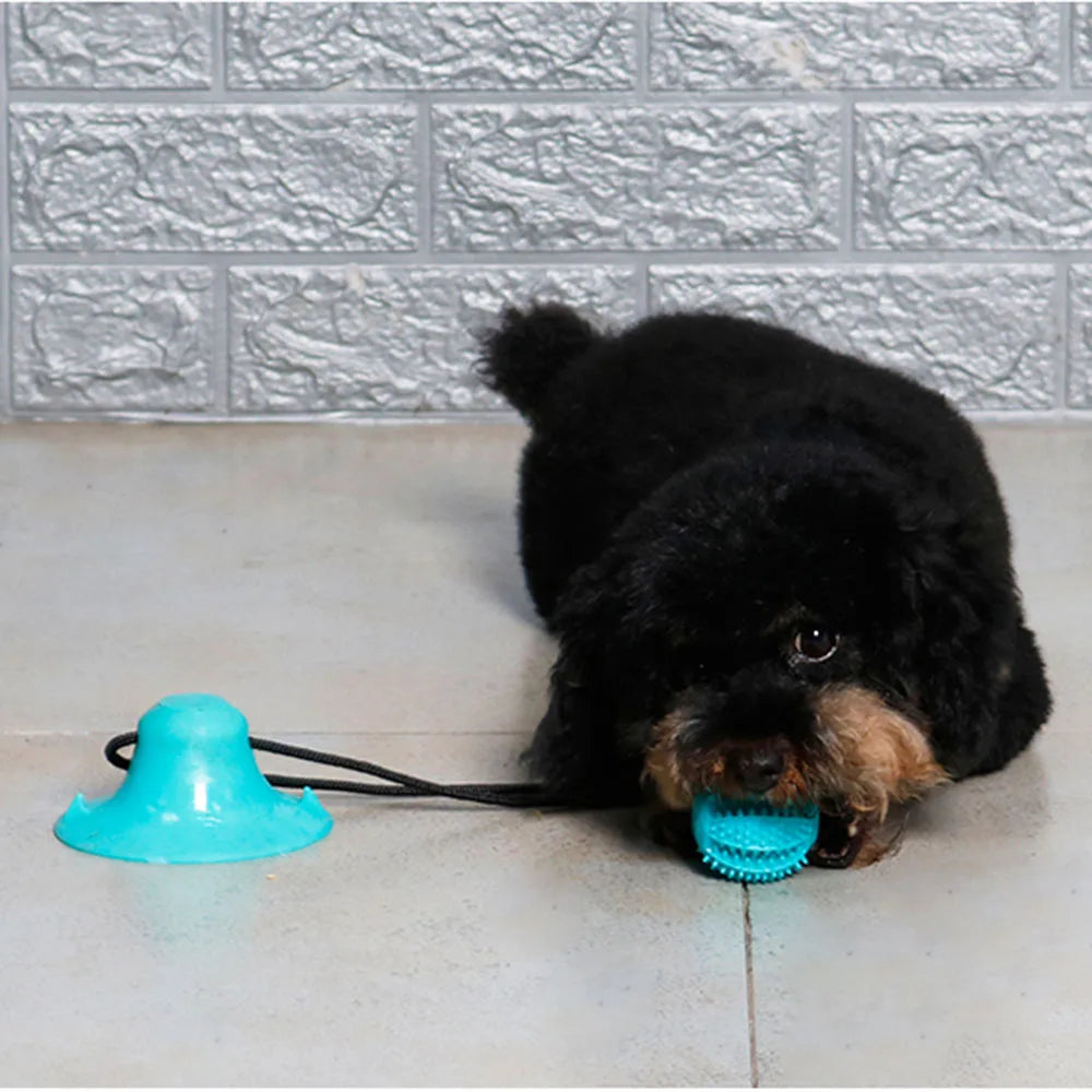 Hund Kauball Spielzeug für aggressive Kauer Spielzeug als Futterspender Saugnapf Spielzeug und Zähne reinigen
