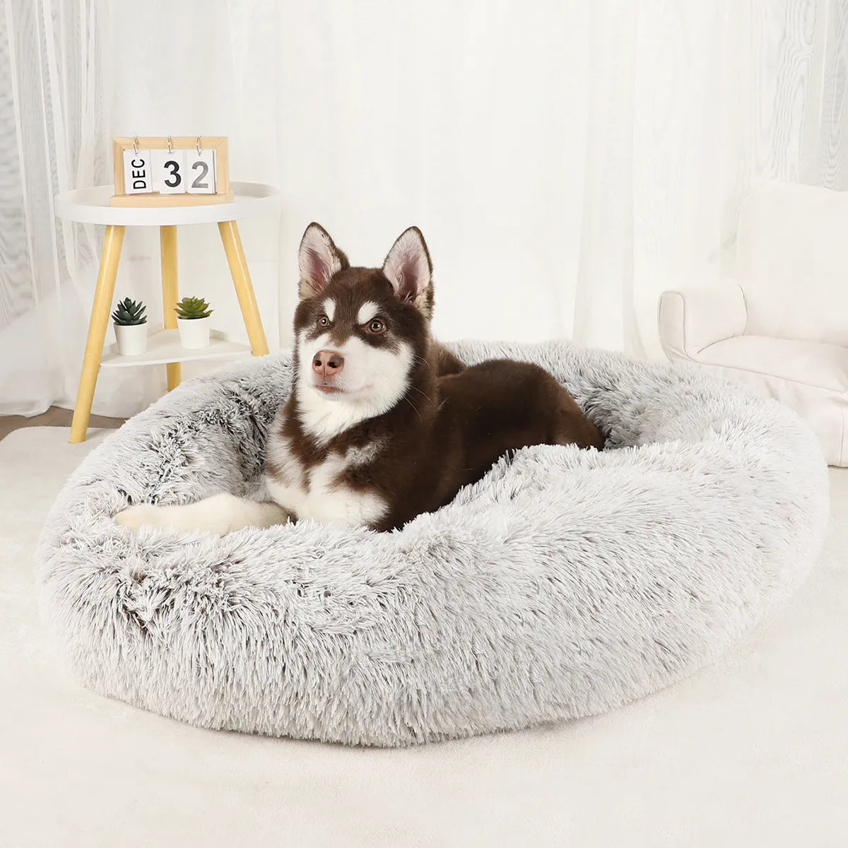 Waschbares Plüsch Hundebett für groß und klein bishin zum Welpenbett/Matte