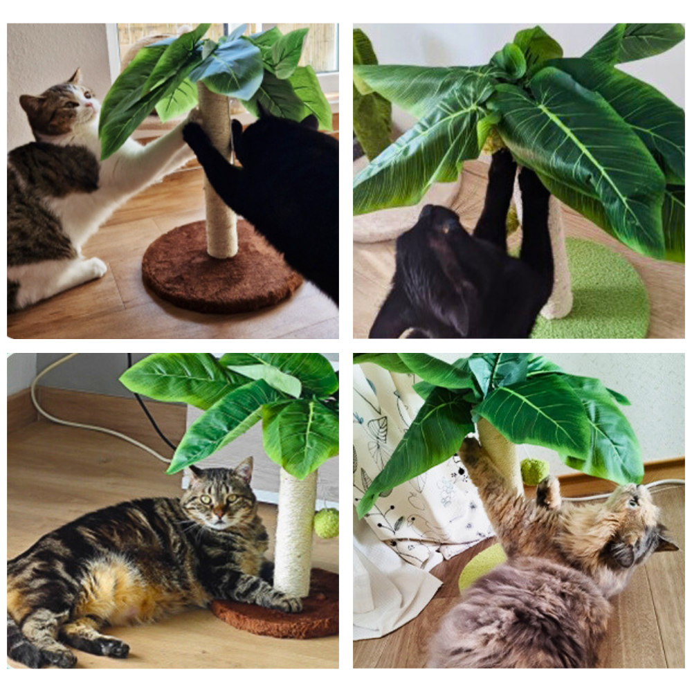 Kratzbaum im tropischen Palmendesign - Dschungelfeeling für daheim