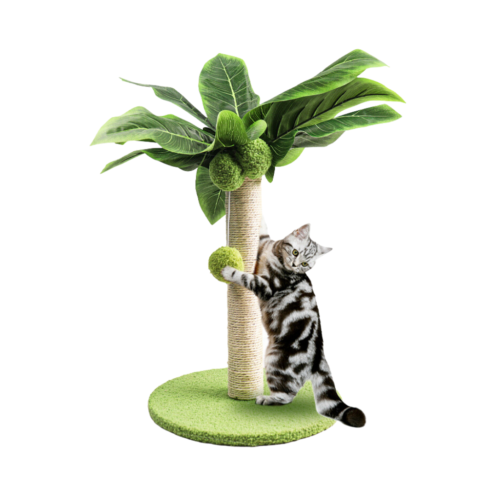 Kratzbaum im tropischen Palmendesign - Dschungelfeeling für daheim