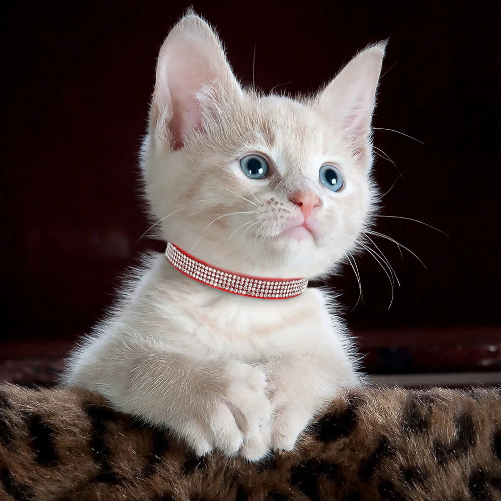 Weiches Wildleder Katzenhalsband Bling Strass Katzen Halsbänder mit Glocke Sicherheit  Haustier Welpen Halskette Verstellbar XS S Pink